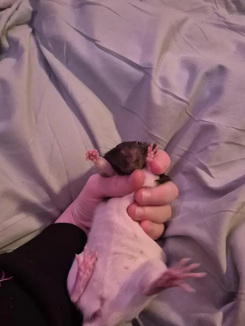 I WAS TRYING TO TAKE A PICTURE OF ME HOLDING HER AND I SLIPPED