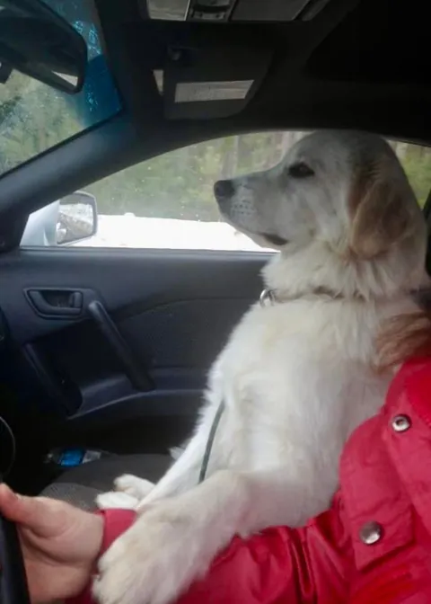 👀 I’m not sure what this says about my driving! 🤔😂🤷‍♀️