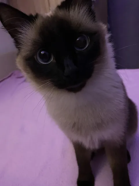 what do you think her name is??