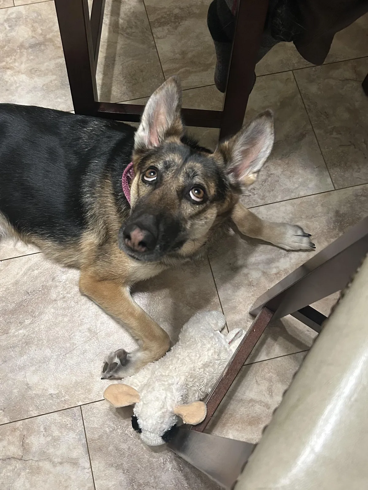 She can see in all directions