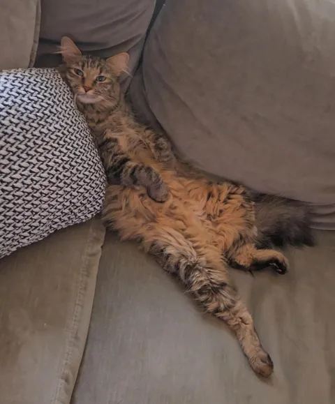 Oh hey Mom, you're home early