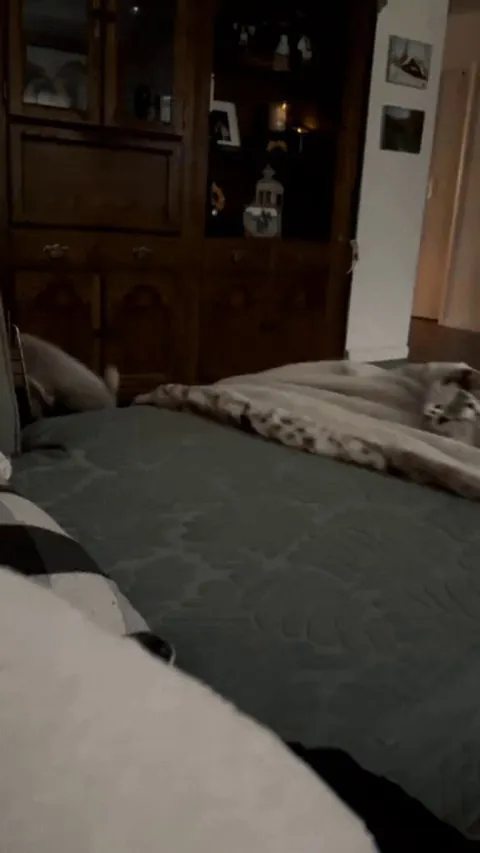 Coming to steal your blankets