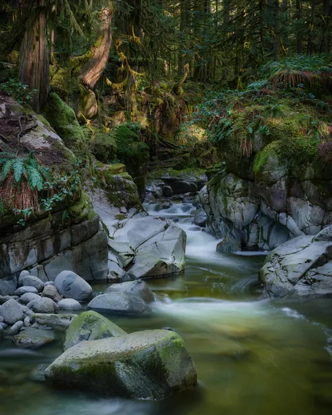 North shore Vancouver, Canada (OC)(1425x1900)