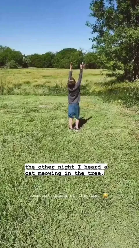 Family helps rescue cat stuck up a tree.