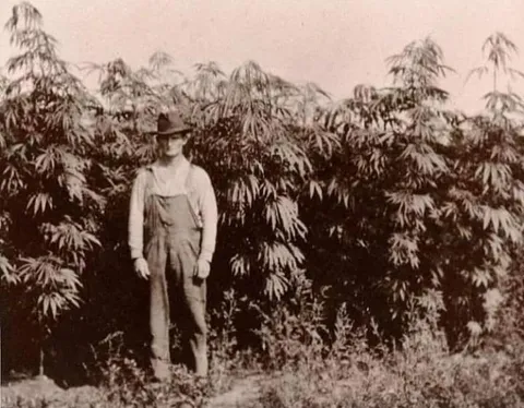 A Michigan farmer standing with his crops, 1910