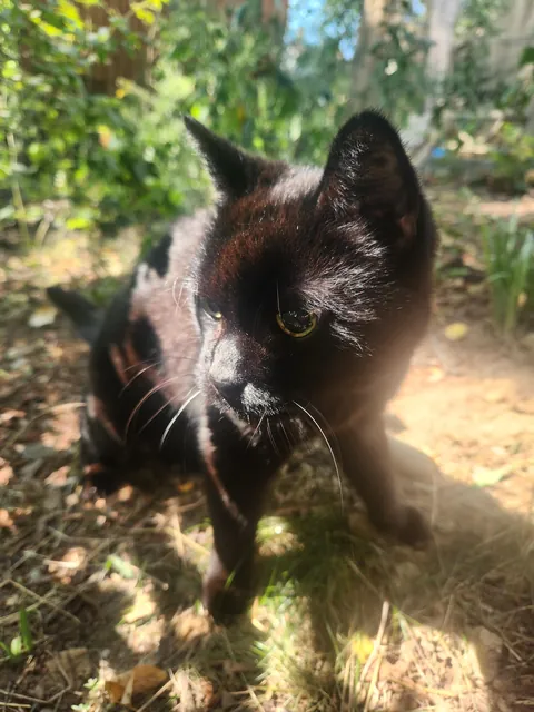 Somehow we are at 22! I love you Sammy ♥️