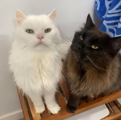 My Void with his Cloud 