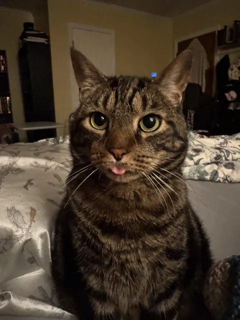 Can I see your best mlem?