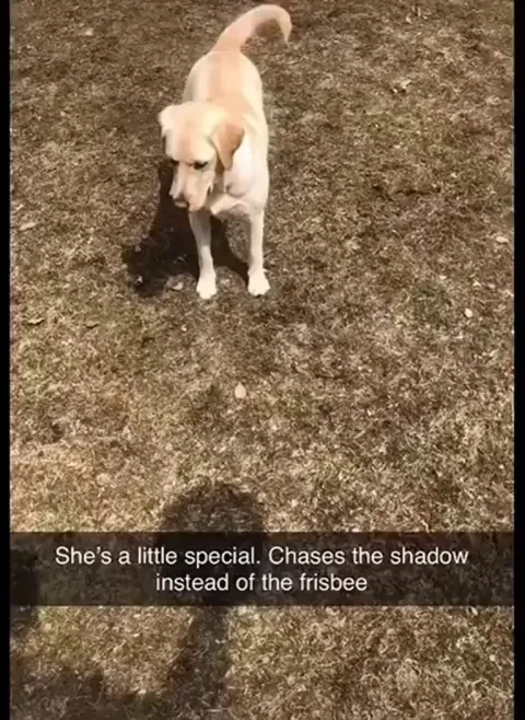 She’s Playing Chess, Not Fetch