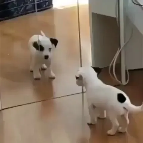 the first time in the mirror. 😅😅😅