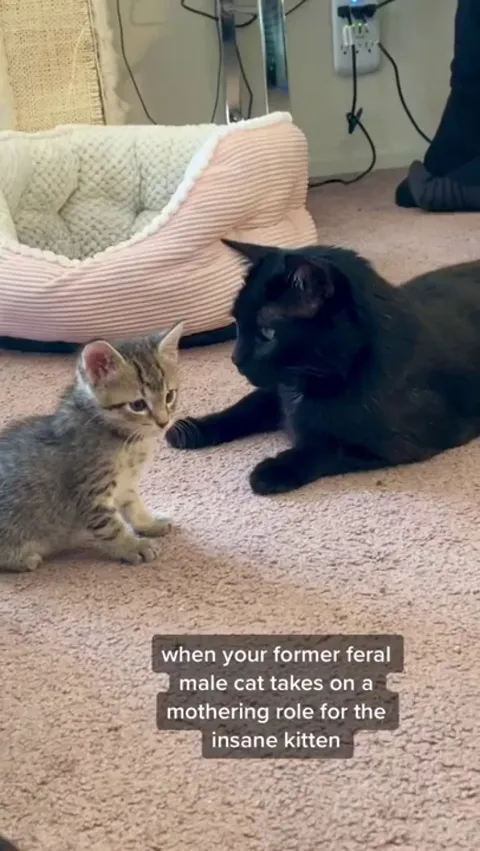 Big brother stepped up