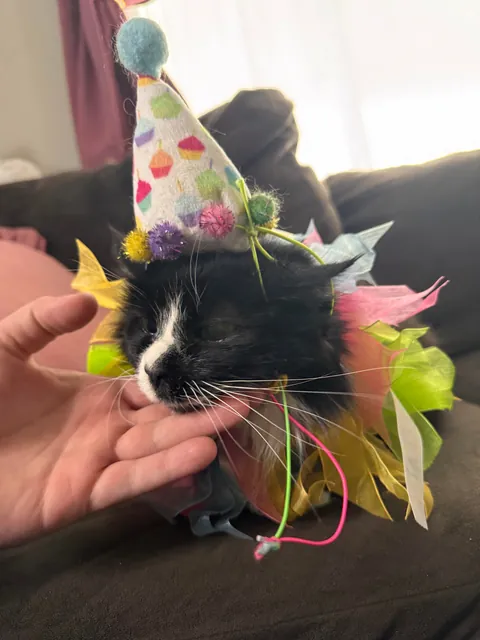 Cookie is 25 today! Tell her Happy Birthday 🥳❤️