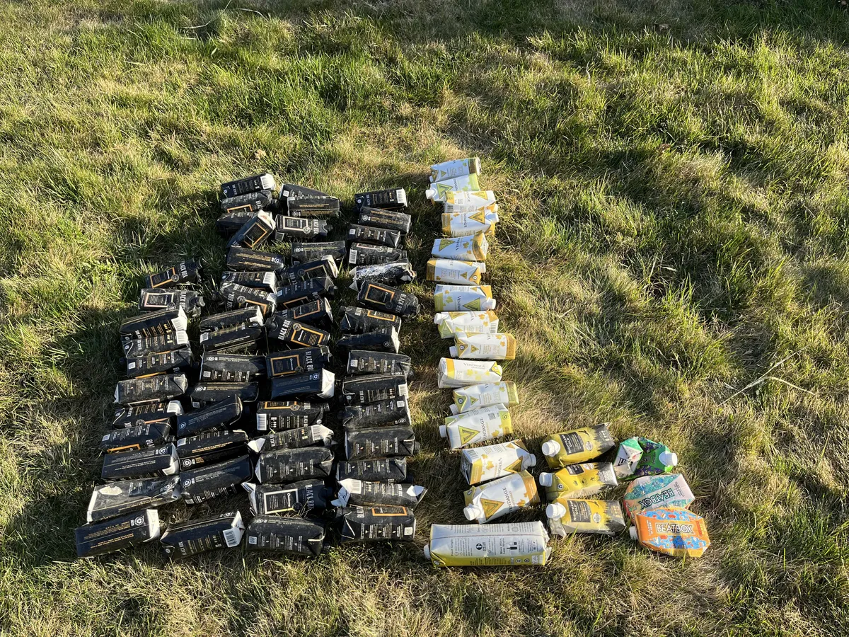 I collected 70+ boxes of white wine from the hillside at the bottom of my street.