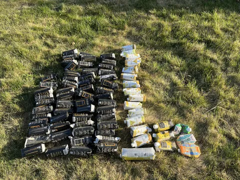 I collected 70+ boxes of white wine from the hillside at the bottom of my street.