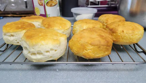 Canned biscuits baked in a convection oven vs air fryer 