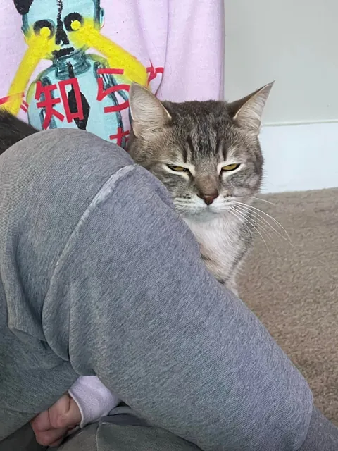 He bit my roommate so I’m posting his ugliest pics