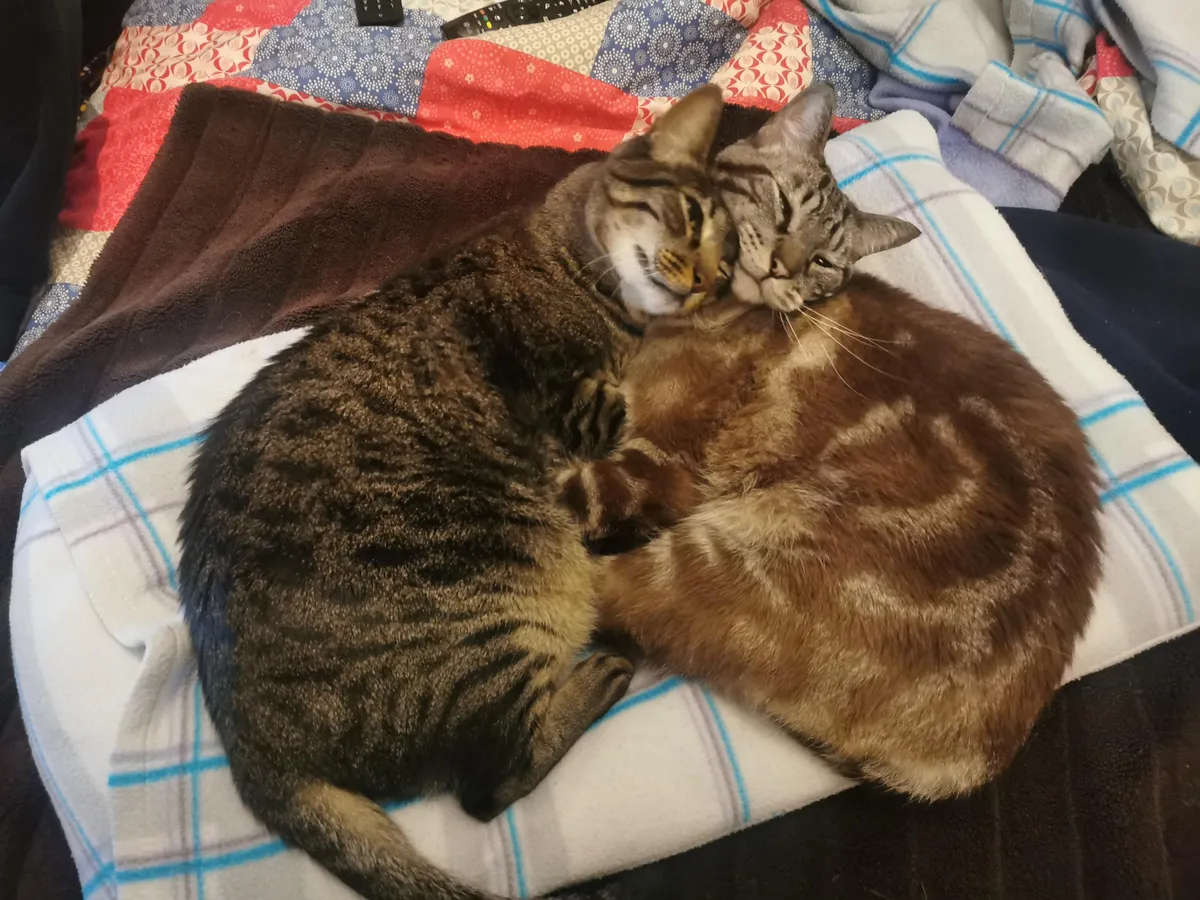 They’re not related, but sure love each other