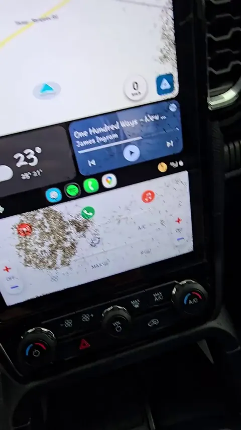 Ants inside my infotainment screen
