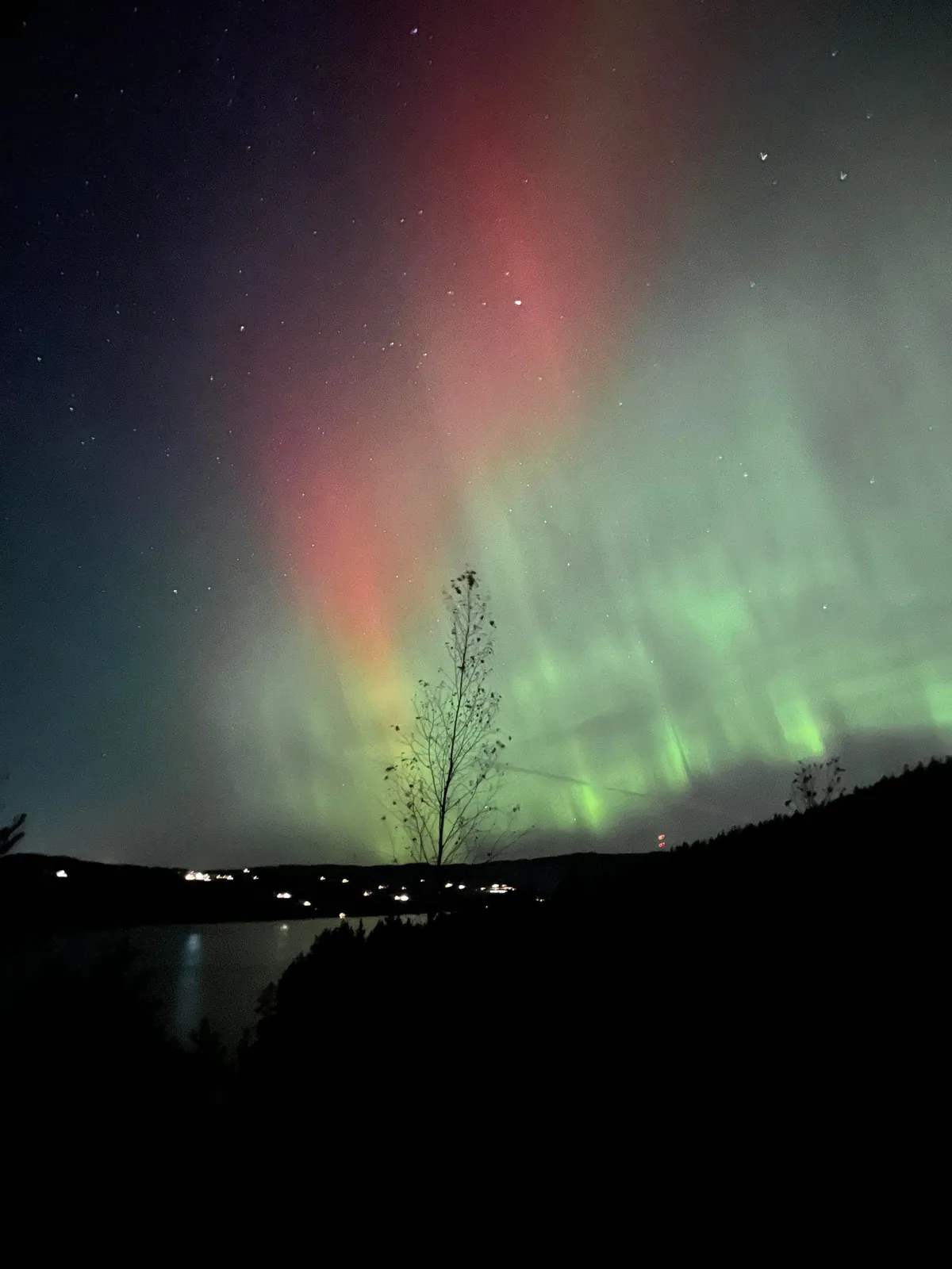 Beautiful Aurora last night!