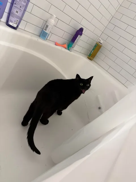 Startled my poor baby