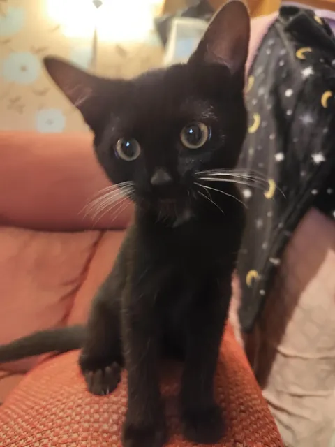 I can't believe how much he's changed in two months!! They grow up so quickly 😭