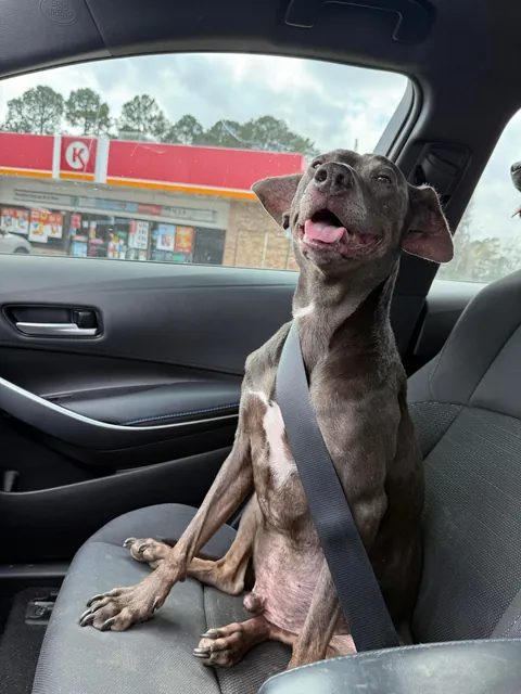 My momma says that I’m the babiest of all the baby boys.