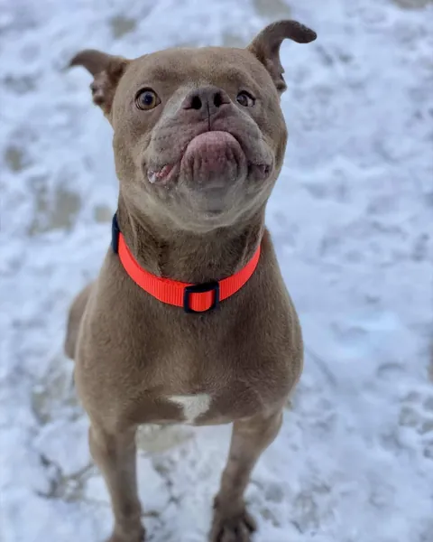 More Kringle pics omg!