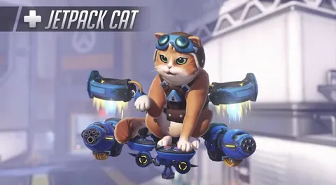 Jetpack Cat!