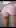 Cute pink shorts for you