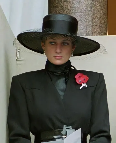 Princess Diana, 1991