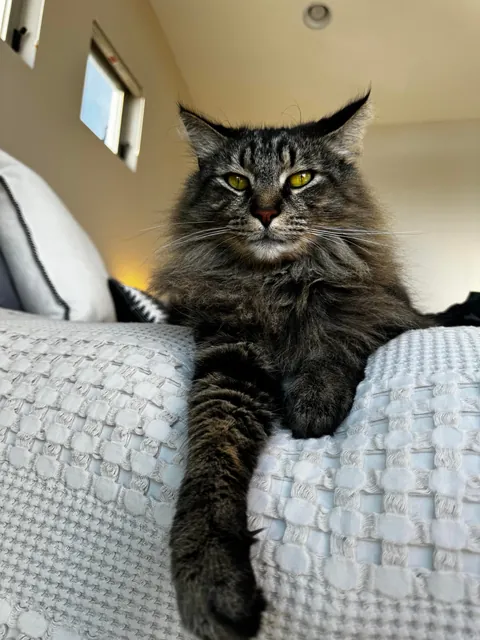 Today my boy passed away due to cancer.