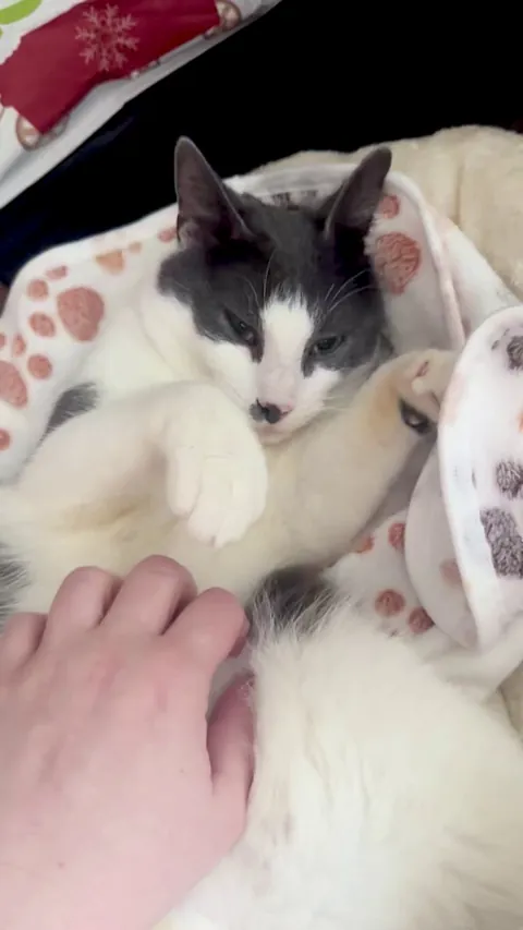 The night we brought him home 🥹