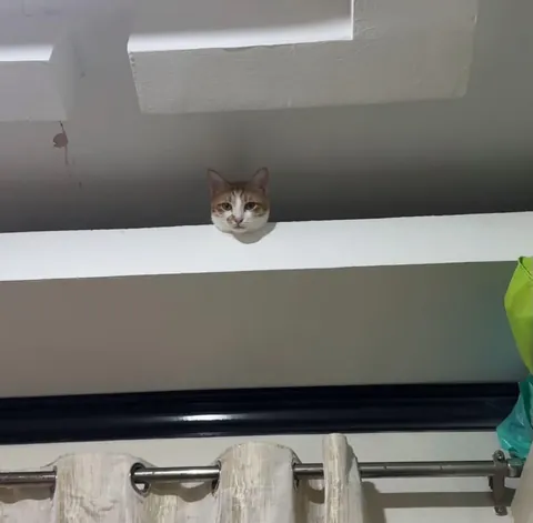 New CCTV