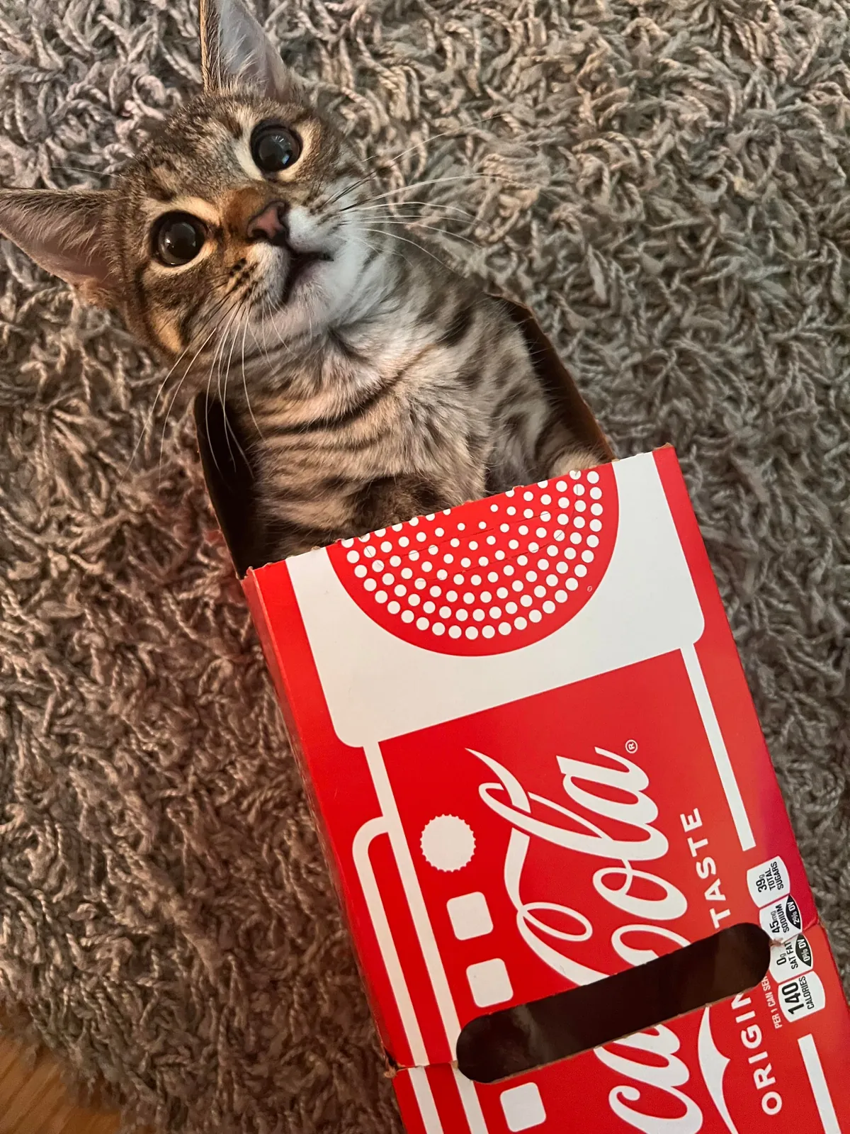 she used to fit in boxes.. not anymore