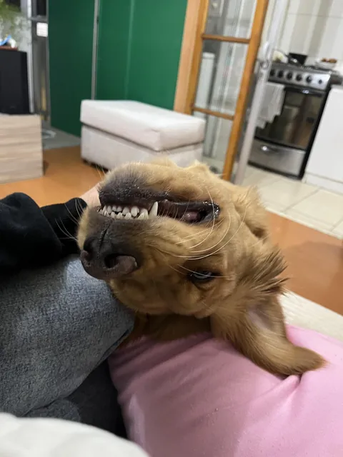 Guys i think she’s broken 😂