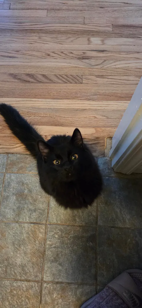 Wanted to show off my son