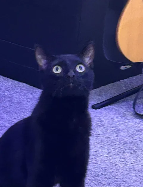 my very un-photogenic squidward