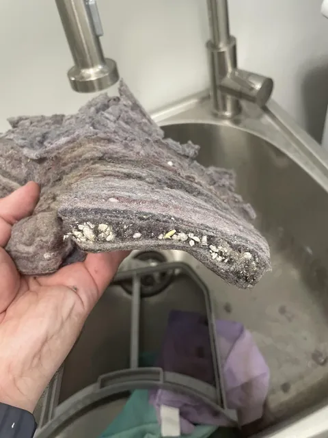 Just moved in. Previous renters never emptied the lint trap