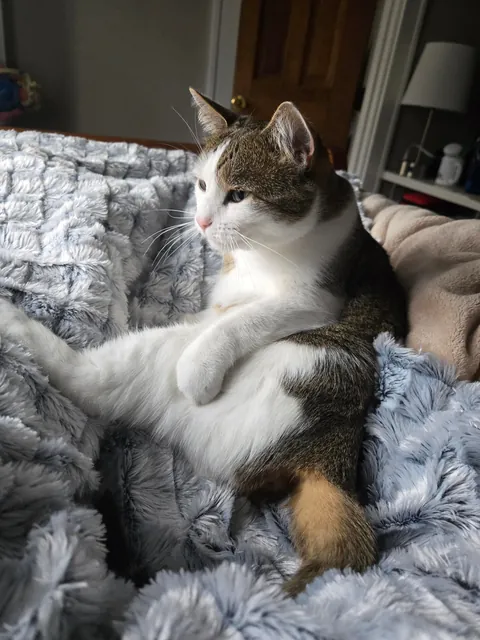 she may sit funny but that's okay