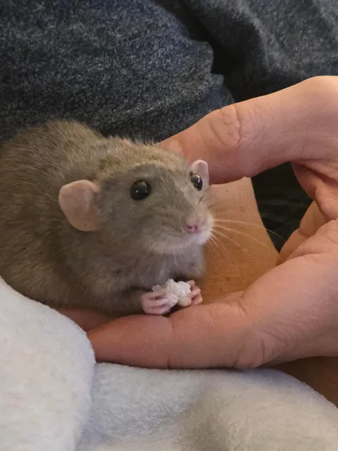 Jimmy little baby, you look so cutie