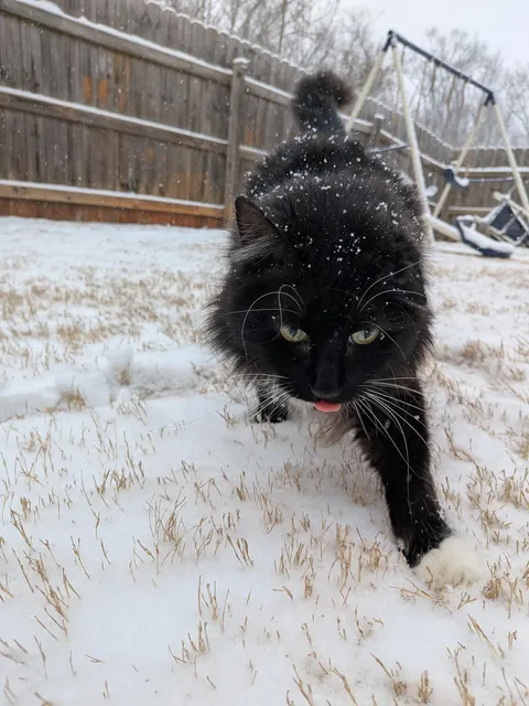 Our once a year snow picture 😍