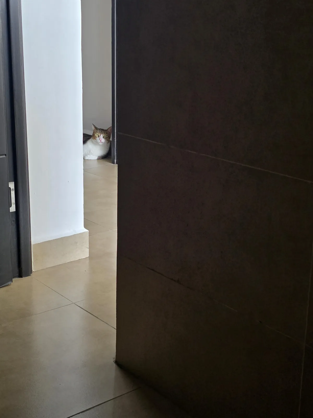 Concerned about my privacy. I took this picture while sitting on the toilet.