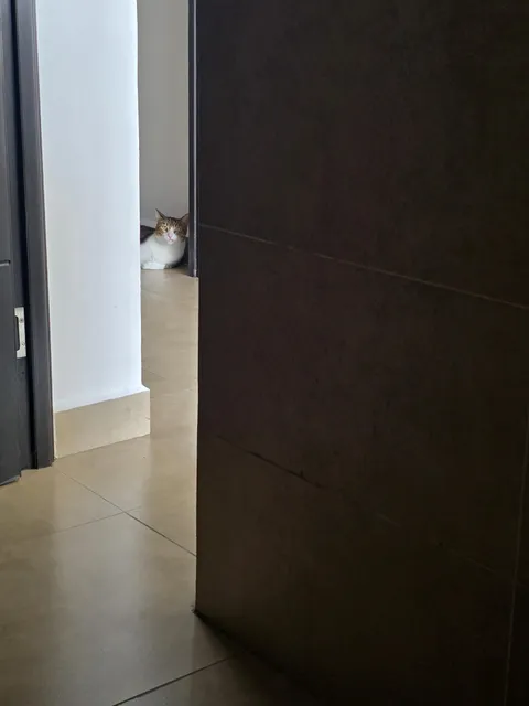 Concerned about my privacy. I took this picture while sitting on the toilet.