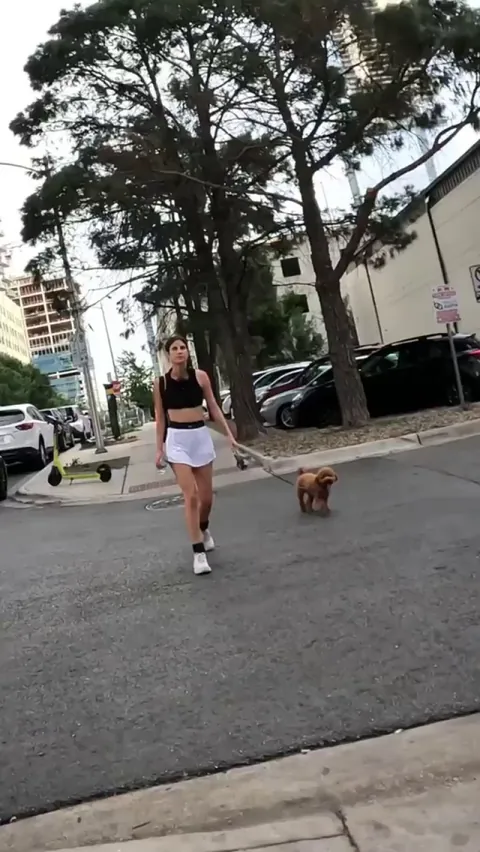 Street photography for cute dog