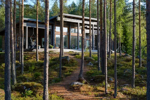My log house among the trees