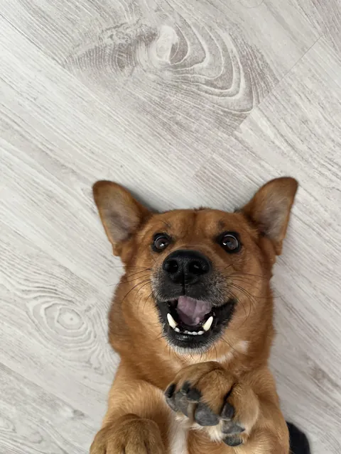 The first thing you ate today will be his name