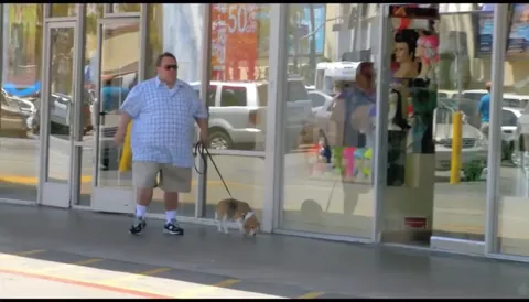 Can you watch my dog?