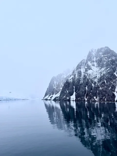 10 days in Antarctica: Wildlife, the Drake Passage and what the expedition was like [OC]