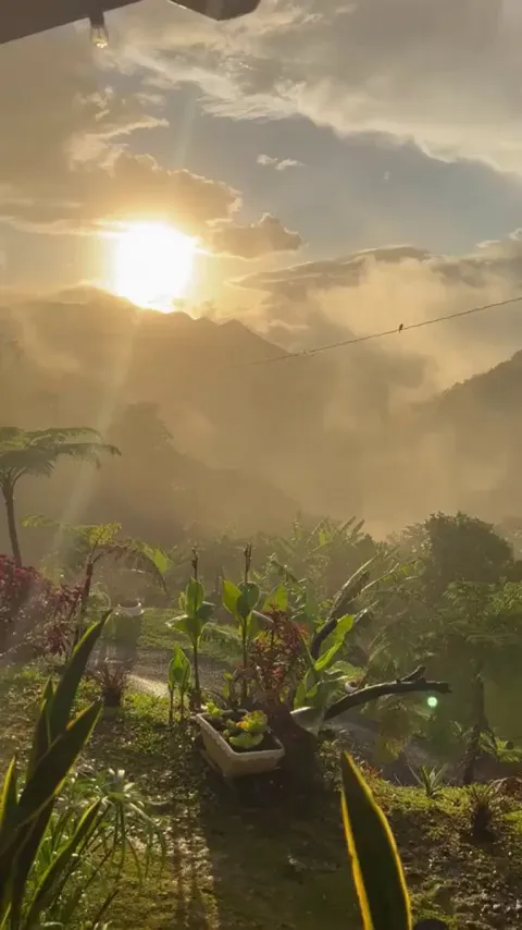 This cabin in Hawaii sounds like you're in the Amazon Rainforest