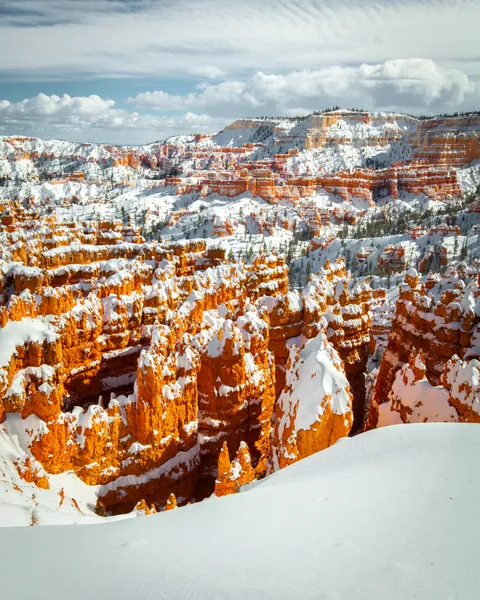Bryce Canyon, UT [OC] (3103x3878)